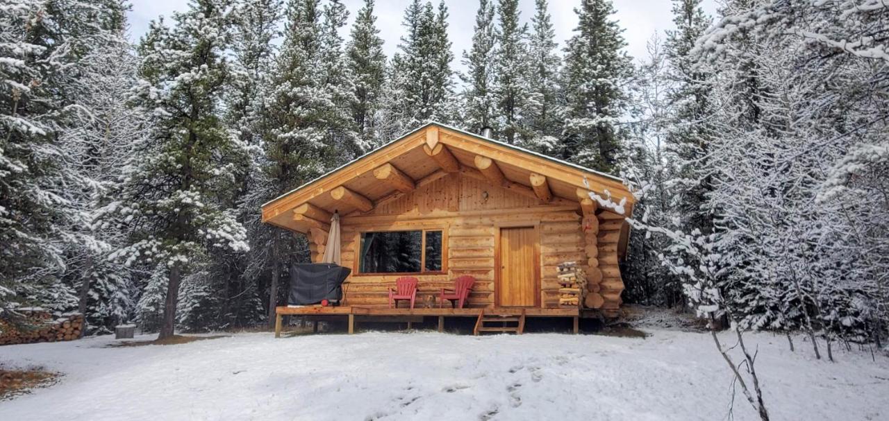 Rocky Mountain Escape Dome & Log Cabin Rentals - Rock Lake Rock Lake Lodge Provincial Park المظهر الخارجي الصورة