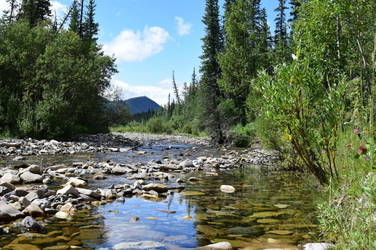 Rocky Mountain Escape Dome & Log Cabin Rentals - Rock Lake Rock Lake Lodge Provincial Park المظهر الخارجي الصورة