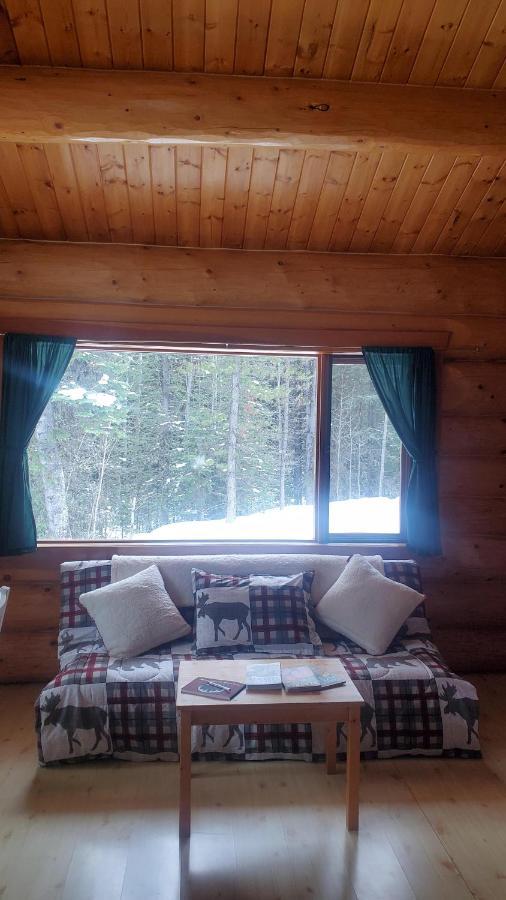Rocky Mountain Escape Dome & Log Cabin Rentals - Rock Lake Rock Lake Lodge Provincial Park المظهر الخارجي الصورة