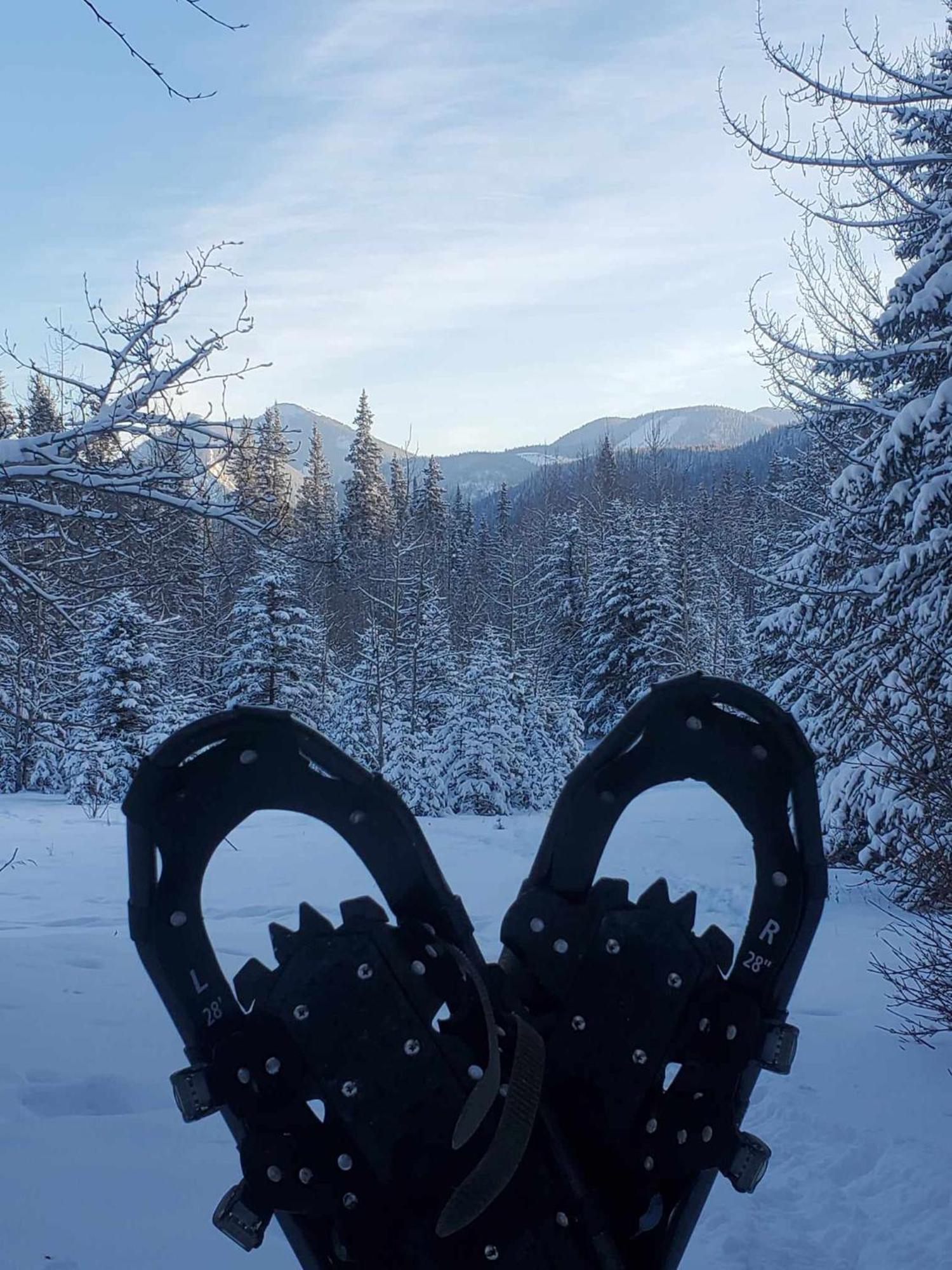 Rocky Mountain Escape Dome & Log Cabin Rentals - Rock Lake Rock Lake Lodge Provincial Park المظهر الخارجي الصورة